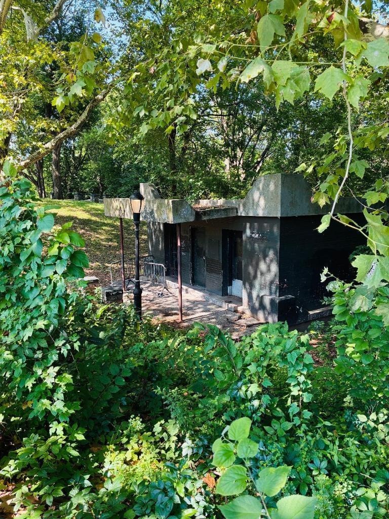 Nature reclaims its space. Photography by Wanda Jones-Lopez, NYC.